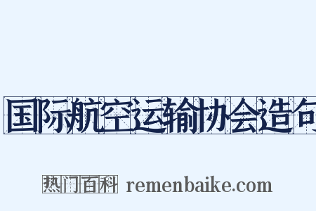 国际航空运输协会造句是什么意思的图片